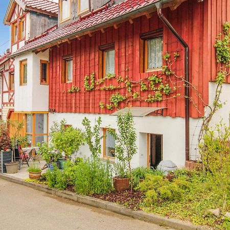 Stunning Apartment In Deggingen With Wifi Екстериор снимка